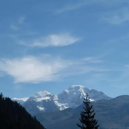 Snug With Balcony * Nendaz